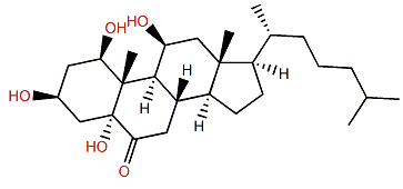 Menellsteroid E
